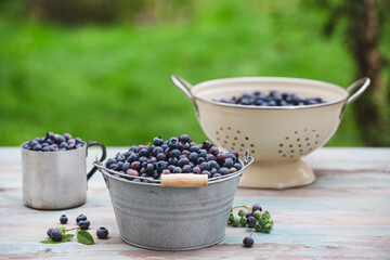 Fresh blueberries on the garden table