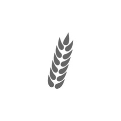 Rice, wheat, corn, oats, rye, barley icon isolated on transparent background