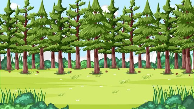 Educational animation showcasing the life cycle of a pine tree.