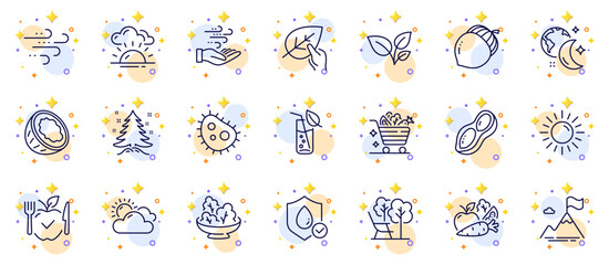 Outline set of Water glass, Leaves and Sunset line icons for web app. Include Vegetables cart, Organic tested, Deckchair pictogram icons. Peanut, Coconut, Vegetarian food signs. Vector