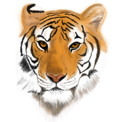 tiger head vector