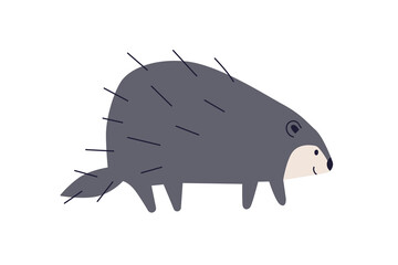 Cute porcupine walking. Happy funny adorable kawaii baby animal in Scandinavian style. Nursery nordic fauna. Kids childish Scandi flat vector illustration isolated on white background