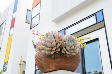 USA California Los Angeles Playa Vista May 8 2023 the facade of the house is decorated with...