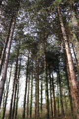 Face &agrave; l'immensit&eacute; de la nature