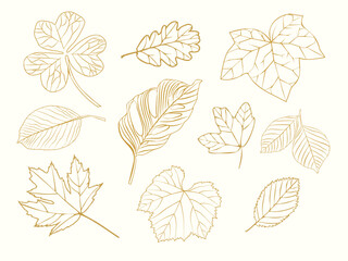 set of silhouettes of leaves. linear style. pattern. gold