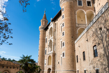 Urbino