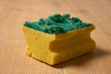Used dish sponge