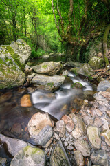 Gneiss and granite rocks between deciduous forests in a stream