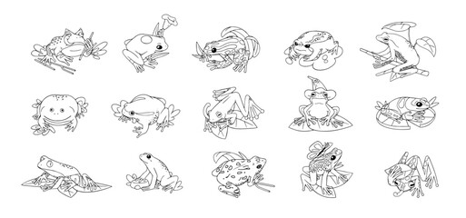 Frogs set. Different species of amphibian, reptile: ceratophrys, tree, tomato and spotted treefrog. Cute, funny tropical, rainforest toad sit with tongue. Lineart isolated vector illustration on white