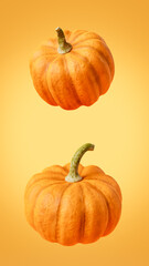 Ripe bright orange pumpkins placed on yellow surface