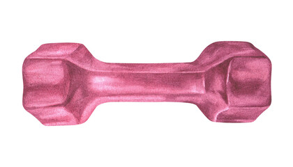 Dumbbell for Fitness watercolor illustration. Hand drawn barbell on white isolated background. Drawing of Sports equipment for weight lifting in the gym. Accessories for women's workouts