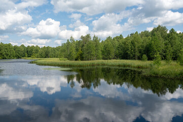Fototapeta premium Lake in green nature with blue sky and white clouds