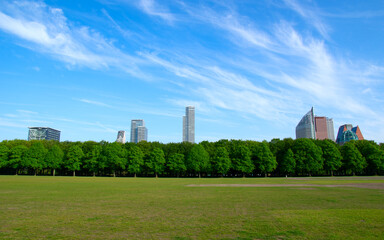 City park on blue sky background