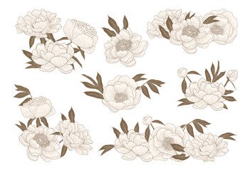 Luxury gold peonies. Trendy botanical elements. Hand drawn line leaves branches and blooming. Flower line art design for prints, wall arts, greeting card, invitation and wedding cards.	