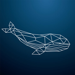 Geometric whale design. Wild ocean animal. Whale in depths of ocean.