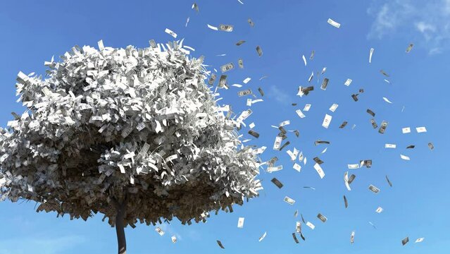 Dollar bill falling from the tree, Money falling from tree, Money fall from the tree.
