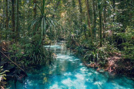 The Kali Biru or Blue River on Waigeo island, Raja Ampat, West papua, Indonesia
