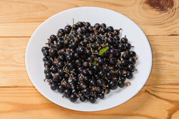 Freshly harvested blackcurrant on dish on a rustic table