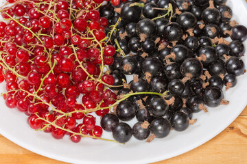 Freshly harvested redcurrant and blackcurrant on dish close-up
