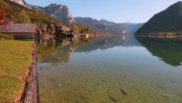 Trout in Grundlsee lake. Wonderful autumn view of Eastern Alps, Liezen District of Styria, Austria, Europe. Full HD video (High Definition).