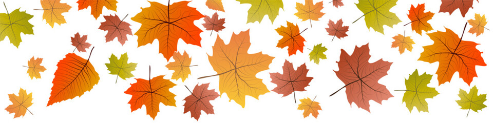Naklejka na ściany i meble Autumn drawing banner. Dead leaves falling. Vector illustration for header