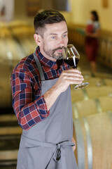 man having wine tasting in cellar with woods