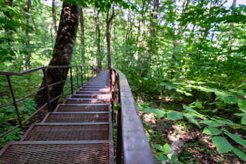 Obraz premium long stairs in the jungle in thailand