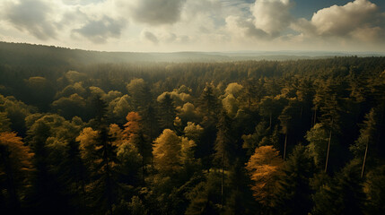 Forest in Bird eye's view, wonderful landscape, v21, created with generative AI technology