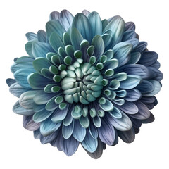 isolated illustration of blue dahlia flower. Created with Generative AI