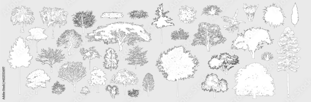 Poster Minimal style cad tree line drawing, Side view, set of graphics trees elements outline symbol for architecture and landscape design drawing. Vector illustration in stroke fill in white. Tropical, oak,