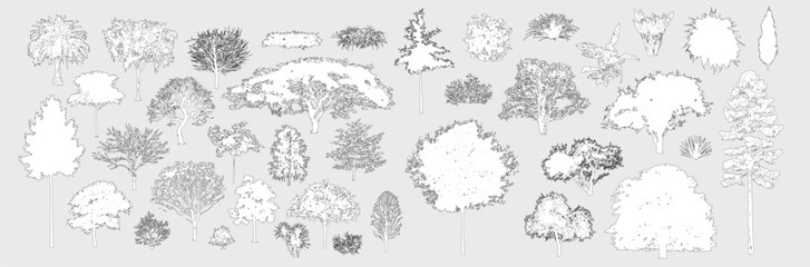 Minimal style cad tree line drawing, Side view, set of graphics trees elements outline symbol for architecture and landscape design drawing. Vector illustration in stroke fill in white. Tropical, oak,