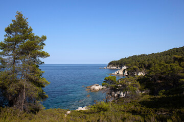 Fototapeta na wymiar Panorama of a beautiful forest and turquoise wather and blue sky. Holiday summer beach background.