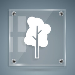 White Tree icon isolated on grey background. Forest symbol. Square glass panels. Vector