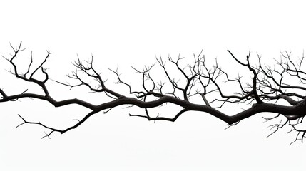Silhouette of a tree branch on white background