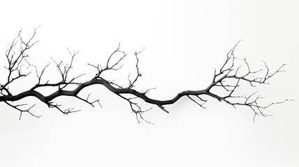 White background with branch silhouette - Powered by Adobe
