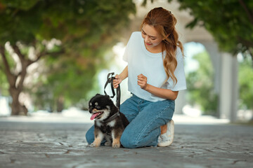 Naklejka na ściany i meble Happy asian woman playing with dog together in park outdoors, summer vacation, Adorable domestic pet concept, Friendship between human and their pet