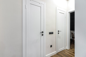 Fototapeta na wymiar White modern interior door in an apartment with a simple interior