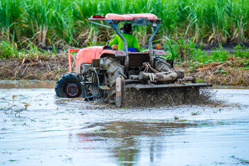 Thai farmers drive in the fields to prepare for planting rice in the rainy season, farmers in rural ways, integrated farming, selective focus, and soft focus.