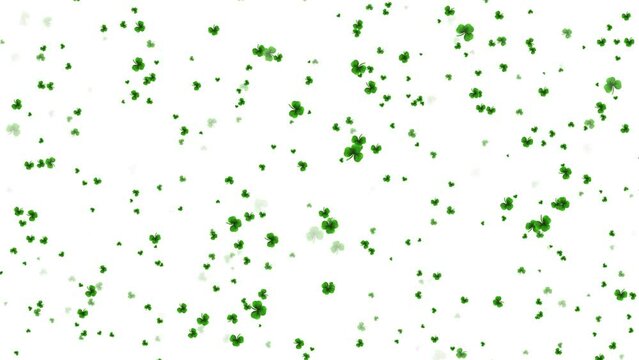 Saint Patrick's Day Design with Clover Leaf grass leaves ireland spring on Green Background. Irish Beer Festival Celebration Holiday. St. Patrick's Day greeting card. Patrick Day pub party celebrating