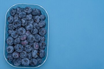 Borówka amerykańska w plastikowym pojemniku, miejsce na tekst