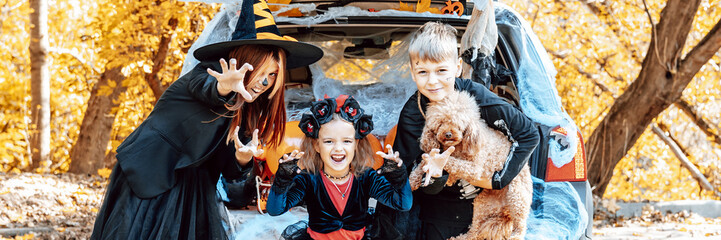 siblings boy in skeleton costume, teenage girl in witch costume and hat and cute little girl in...