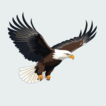 eagle vector flat minimalistic asset isolated illustration