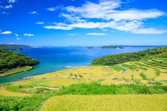 初夏の土谷棚田　長崎県松浦市 Doya Rice Terraces in early summer. Nagasaki Pref, Matsuura city.