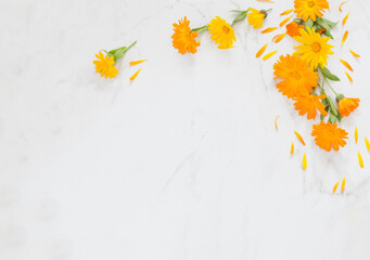 orange marigold flowers on white marble background