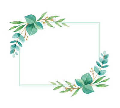 Eucalyptus frame painted in watercolor