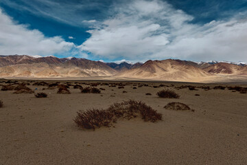 In a canvas of barren valley and snow-capped peaks, wild brown bushes emerge sporadically, adding an earthy contrast to the rugged landscape.