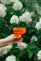 Female hand holding Aperol spritz cocktails outdoors, focus on hands