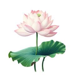 Green lotus on transparent background