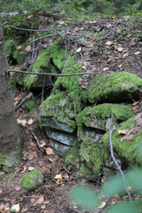 Fototapeta premium In the mountains, Carpathian mountains travel, beautiful nature background, traveling to Ukraine