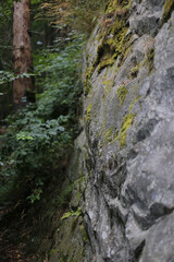 In the mountains, Carpathian mountains travel, beautiful nature background, traveling to Ukraine
